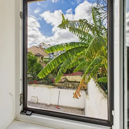 Apartamento Cozy 1br In Estrela | By Airnest *