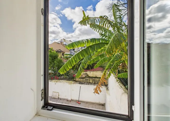 Apartment Cozy 1br In Estrela | By Airnest *